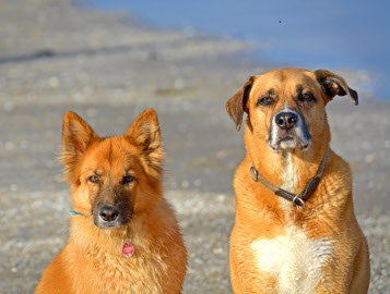 Max und Kiara